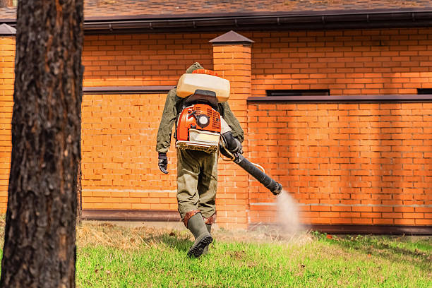 Bed Bug Clearance Verification and Documentation in Whiting